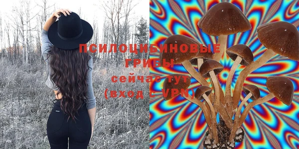 эйфоретик Белоозёрский