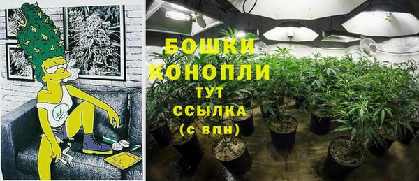 mdpv Белокуриха